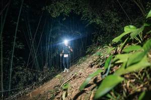 BIB: 
                            <button type="button" onclick="openModal(28158475)" class="btn btn-primary btn-sm float-right btn-popup" data-toggle="modal" data-target=".modal-high-quality">
                        <i class="fas fa-shopping-cart"></i> Add to Cart
                    </button>
                                            <button type="button" onclick="isThisMe(28158475, true)" class="btn btn-success btn-sm float-right btn-popup btn-isme hidden" data-toggle="tooltip" data-placement="bottom" title="นี่คือรูปของคุณใช่ไหม คลิกที่นี่เพื่อเอาเข้าอัลบั้ม">
                        <i class="fas fa-plus"></i> Add to album
                    </button>
                    <button type="button" onclick="isThisMe(28158475, false)" class="btn btn-warning btn-sm float-right btn-popup btn-isnotme hidden">
                        <i class="fas fa-ban"></i> Remove from album
                    </button>